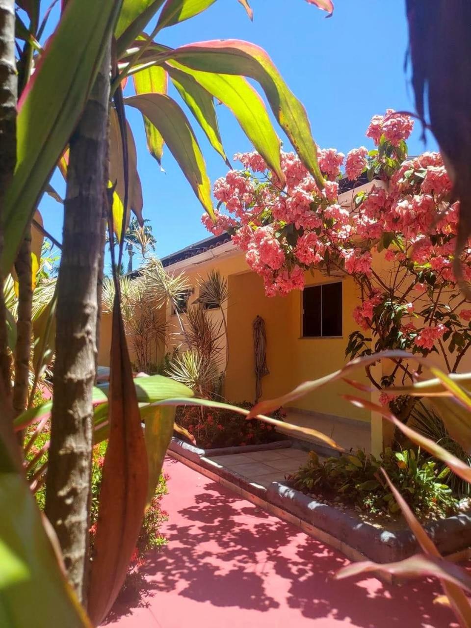 Hotel Porto Garden Porto Seguro Extérieur photo